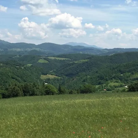 In With Pool & Apecchio