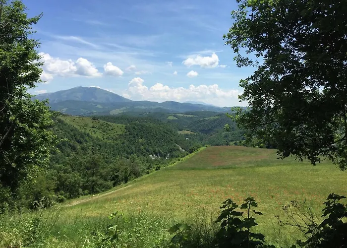 Feriehus In With Pool & *