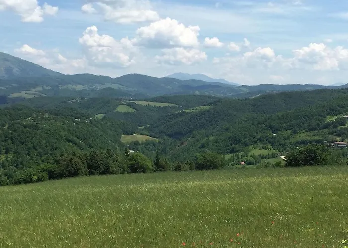 In With Pool & Apecchio